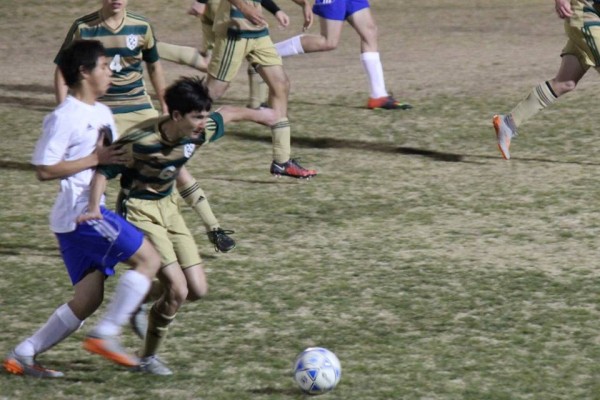 Freshman Michael Carpenter shows off his defensive skills in Hawk Win over Badgers