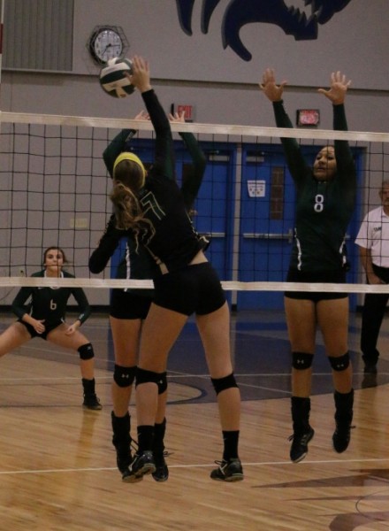 Addison Farley getting her point across against the Ducks in last year's first round of playoffs