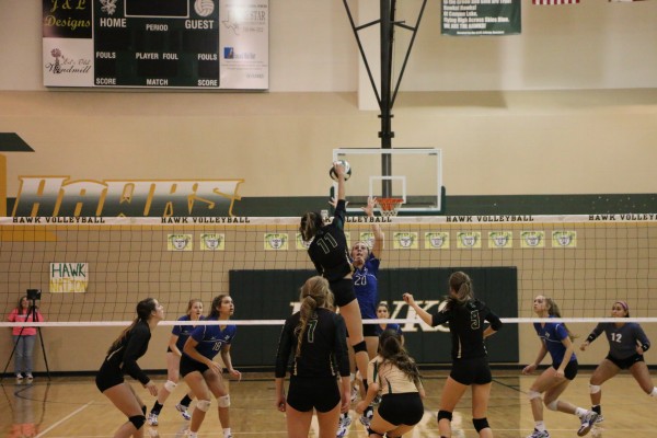 Bailey Drum going high for a kill 