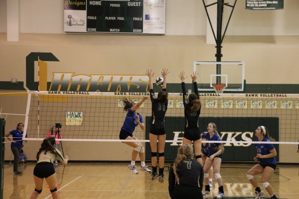 Hawks Volleyball is Reaching for New Heights