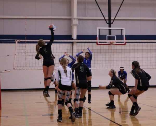 Cl Hawks Sweep To Saturday S Games In Wimberley The Hilltop Resporter