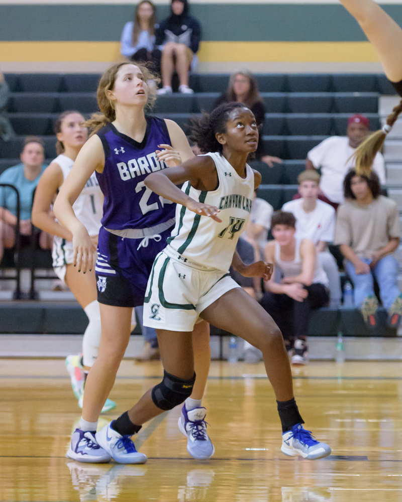 Girl’s Basketball All-Time Top 10 Stat Leaders - The Hilltop Resporter